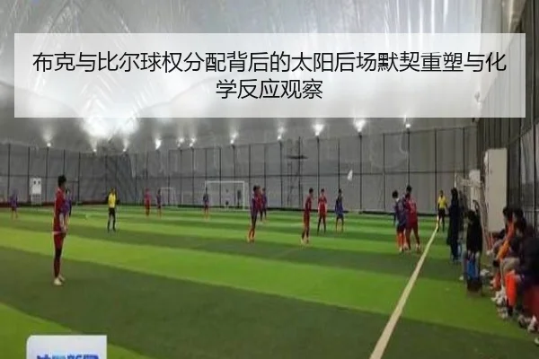 布克与比尔球权分配背后的太阳后场默契重塑与化学反应观察