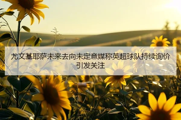 尤文基耶萨未来去向未定意媒称英超球队持续询价引发关注